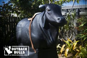 Outback Bulls get Rhino Lined